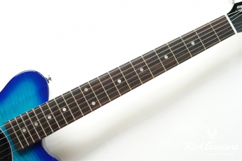 PGG-200FM SBL